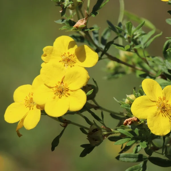 c7娱乐百家乐游戏